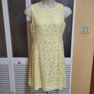 Eva Mendes NY & Co Ladies Yellow & White Floral Lace Dress